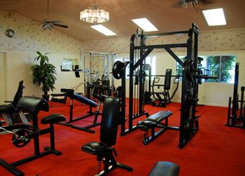 Fitness center strength and conditioning equipment